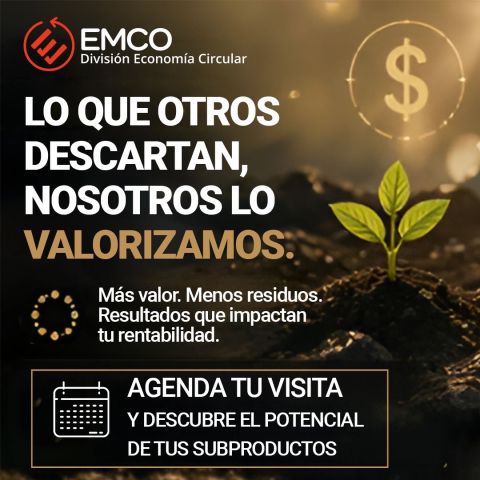 Economía Circular: Más que una Intención